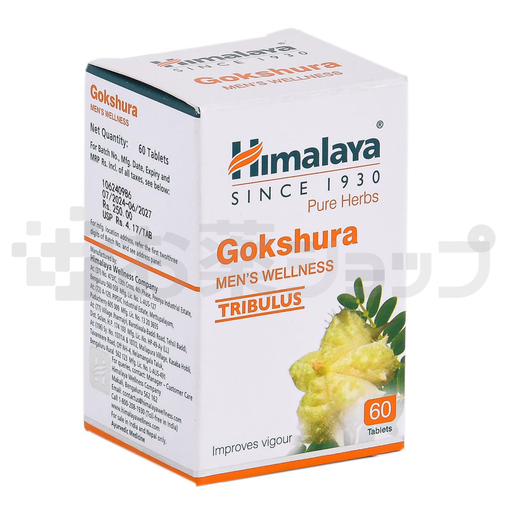 ゴクシュラ(GOKSHURA) 2